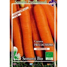 zanahoria touchon (semillas ecológicas)
