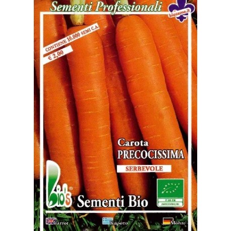semillas ecológicas de zanahoria touchon