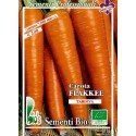 zanahoria Flakkee medio tardia - semillas ecológicas