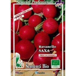 rabanito redondo rojo saxa (semillas ecológicas)