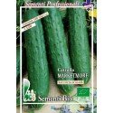 pepino marketmore (semillas ecológicas bioseme)