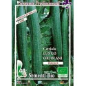 pepino largo ortolami (semillas ecológicas)