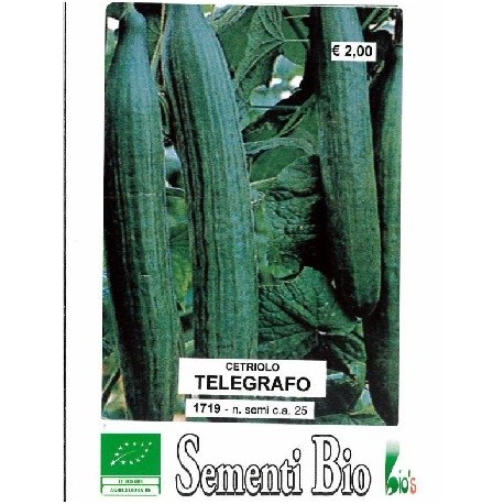 semillas ecologicas de pepino tortarello de Bari