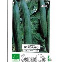 pepino telegrafo (semillasa ecológicas)