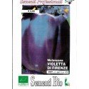 berenjena violeta de Florencia - semillas ecológicas
