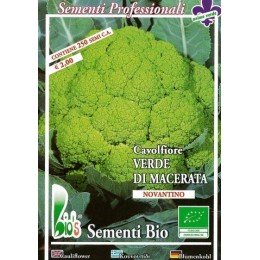 coliflor verde Macerata - semillas ecologicas