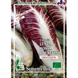 achicoria rossa di Treviso - semillas ecológicas