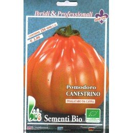 semillas ecologicas de tomate canestrino - www.planetasemilla.es