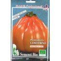 tomate canestrino (semillas ecológicas)