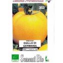 tomate amarillo de Alemania - golden boy (semillas ecológicas)