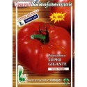 tomate gigante malizia (semillas ecologicas)
