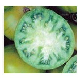 tomate evergreen (semillas biodinamicas)