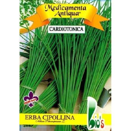 cebollino - Allium schoenoprasum - (semillas ecológicas)