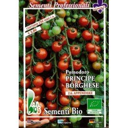 tomate príncipe borghese - semillas ecológicas
