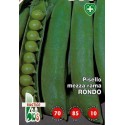 guisante rondo - semillas ecológicas
