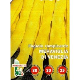 judia amarilla maravilla de Venecia (semillas ecológicas)