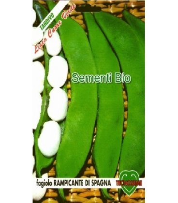 semillas ecologicas de judia coco bianco de enrrame