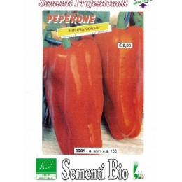 pimiento rojo nocera (semillas ecológicas)